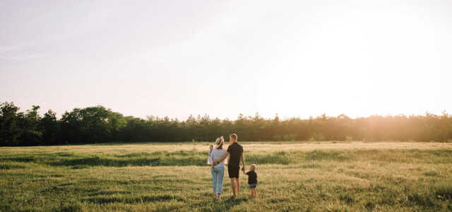 Eine Familie aus zwei Eltern und einem Kind am spazieren in einem Feld, Sonne scheint